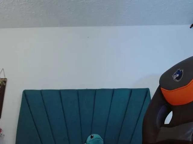 Freechat Dubraska1 on BongaCams