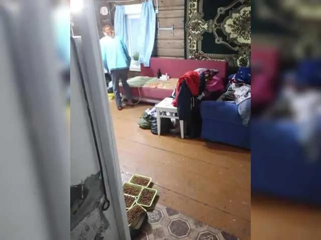 Freechat Madam-oss on BongaCams